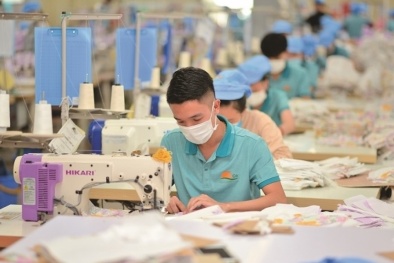 Thúc đẩy kinh tế 'xanh' tạo thuận lợi cho doanh nghiệp phát triển bền vững