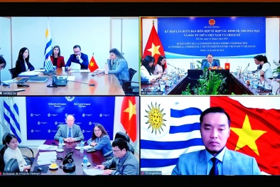 Việt Nam- Uruguay tiếp tục thúc đẩy hợp tác thương mại