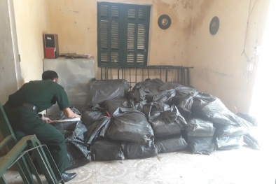 Phát hiện 10.000kg chân gà đông lạnh không rõ nguồn đang trên đường vận chuyển