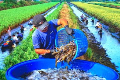 Đẩy mạnh xây dựng TCVN về kinh tế tuần hoàn trong lĩnh vực thủy sản