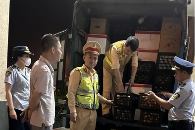 Quảng Ninh kiểm tra, tạm giữ hơn 1 tấn hoa quả nhập lậu