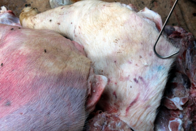 Đồng Nai: Phát hiện 1,7 tấn thịt heo tím tái, bốc mùi hôi thối sắp đưa đi tiêu thụ 