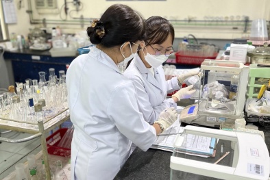 Lộ trình triển khai chuyển đổi số ngành Tiêu chuẩn Đo lường Chất lượng đến năm 2030