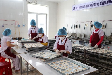 Doanh nghiệp nâng cao năng suất nhờ chủ động áp dụng tiêu chuẩn quốc tế