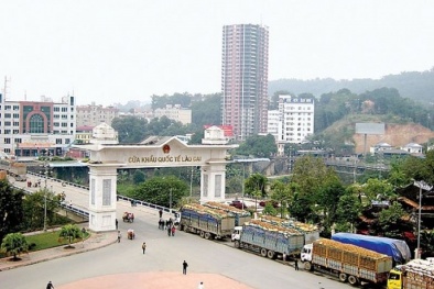 Cảnh báo Giấy chứng nhận xuất khẩu nông sản sang Trung Quốc trên mạng xã hội là giả mạo