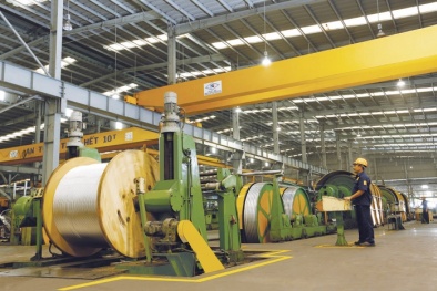 Xây dựng chiến lược phát triển bền vững nhờ phương pháp thẻ điểm cân bằng 