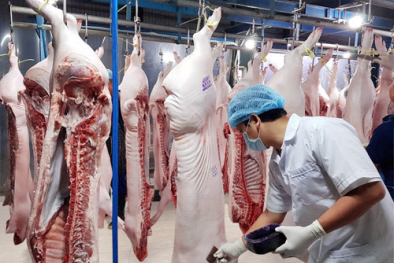 Quý I/2023, xuất khẩu thịt và các sản phẩm thịt tăng trưởng