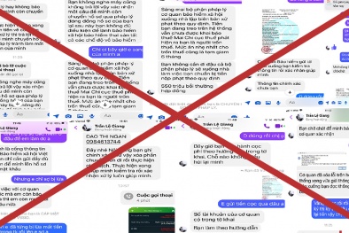 Cảnh báo lừa đảo theo hình thức mới: Mạo danh hỗ trợ cấp lại mật khẩu ứng dụng VssID - BHXH số