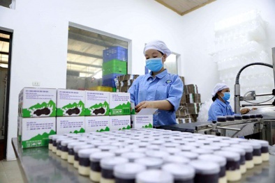 Vĩnh Phúc: Sản phẩm OCOP tăng hạng nhưng còn nhiều khó khăn cần tháo gỡ để phát triển bền vững