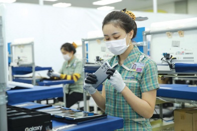 Việt Nam chủ trương thu hút đầu tư nước ngoài có chọn lọc, lấy chất lượng làm tiêu chí đánh giá