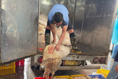 Thu giữ lượng lớn lòng lợn, xương lợn đã bốc mùi hôi thối đang trên đường đi tiêu thụ