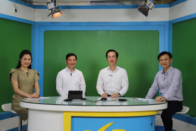 Tọa đàm trực tuyến: ‘Đổi mới sáng tạo - Cơ hội và thách thức’ 