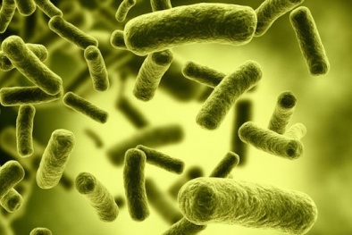 WHO cảnh báo 4 nhóm thực phẩm dễ gây ngộ độc Botulinum