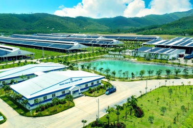 Tiêu chuẩn thúc đẩy sự đổi mới