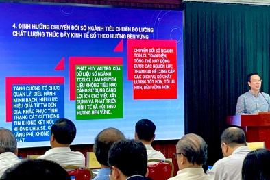 Định hướng chuyển đổi số ngành TCĐLCL thúc đẩy kinh tế số theo hướng bền vững