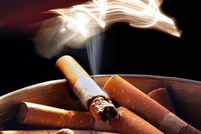 Mỗi năm 8 triệu ca tử vong do thuốc lá kể cả người hút trực tiếp và hút thụ động