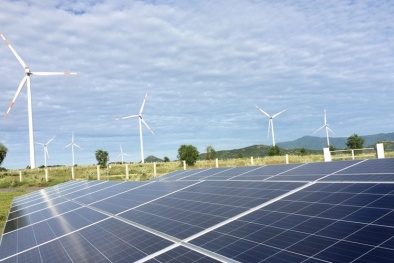 40 chủ đầu tư dự án điện chuyển tiếp đã ký hợp đồng đề xuất giá tạm 50% khung giá trần