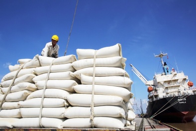 Hoàn thiện việc xây dựng tiêu chuẩn về sản xuất, chế biến và xuất khẩu gạo 
