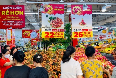 Vải thiều Bắc Giang vào hệ thống phân phối của Central Retail