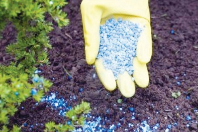 Sản xuất phân bón khi không có giấy chứng nhận đủ điều kiện sản xuất bị phạt tới 70 triệu đồng