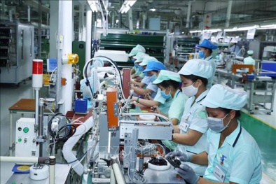 Khoa học công nghệ và đổi mới sáng tạo góp phần quan trọng trong xây dựng, phát triển tỉnh Vĩnh Phúc 