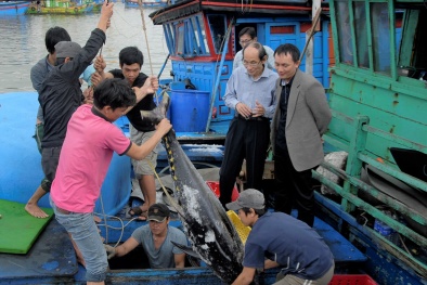 Truy xuất nguồn gốc thủy sản bằng phần mềm điện tử đảm bảo tính chính xác, minh bạch