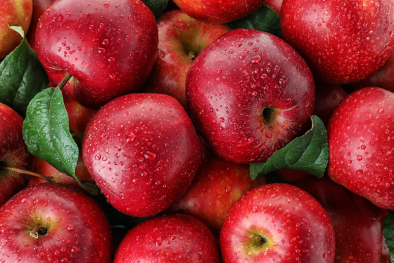 Nghiên cứu mới cho thấy, ăn quả táo mỗi ngày giúp giảm nguy cơ ốm yếu, suy nhược 