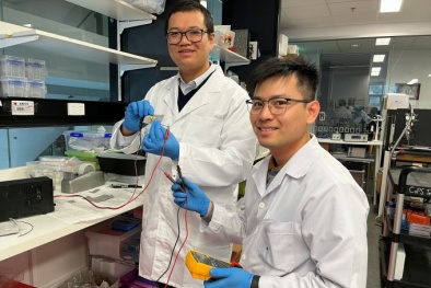 Tiến sĩ người Việt: Chế tạo loại vải có khả năng đo nhịp tim và có khả năng tự lành