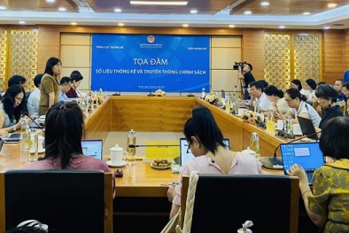 Trong thống kê, không có số liệu đẹp, xấu, chỉ có con số chính xác, chân thực 