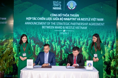 Nestlé tăng cường hợp tác thúc đẩy nông nghiệp tái sinh và phát thải thấp