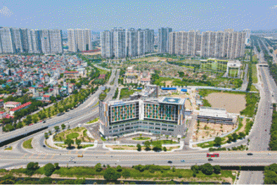 Giỏ hàng chất lượng phía Tây Hà Nội cho người mua an cư và đầu tư