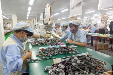 Lựa chọn đúng hệ thống quản lý, công cụ cải tiến là bước quan trọng với doanh nghiệp