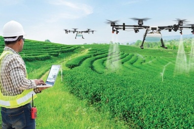 Trí tuệ nhân tạo góp phần tạo ra hệ thống thực phẩm bền vững