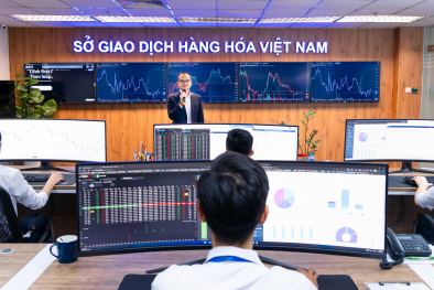 Triển khai giao dịch các hợp đồng quyền chọn hàng hóa trên phạm vi toàn quốc