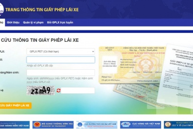 Xử lý website giả mạo Trang thông tin điện tử Giấy phép lái xe