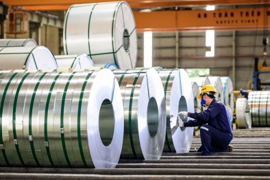 EU sửa đổi quy định về việc áp dụng biện pháp tự vệ với một số loại thép nhập khẩu