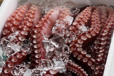 Xuất khẩu mực, bạch tuộc sang Nhật Bản có xu hướng phục hồi