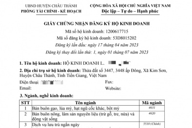 Hộ kinh doanh được liên thông điện tử giữa đăng ký kinh doanh và đăng ký thuế từ 1/7/2023