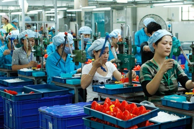 Lạng Sơn: Hỗ trợ doanh nghiệp vừa và nhỏ phát triển bền vững, nâng cao năng lực cạnh tranh
