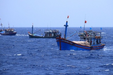 Tập trung quyết liệt việc quản lý tàu cá và truy xuất nguồn gốc