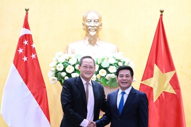 Việt Nam – Singapore: Từng bước hợp quy tiêu chuẩn giữa hai nước, giảm thiểu rủi ro trong xuất khẩu 