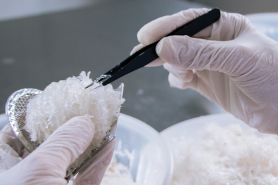 Ngăn chặn săn bắt trái phép, quản lý nuôi và đẩy mạnh xuất khẩu các sản phẩm tổ yến