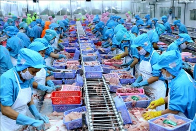Xuất khẩu cá ngừ đóng hộp sang EU tăng mạnh nhờ FTA