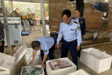 Lâm Đồng: Phát hiện nhiều thực phẩm không rõ nguồn gốc xuất xứ