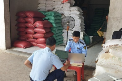 Tạm giữ 52 tấn gạo nhập khẩu không có nhãn phụ tiếng Việt tại tỉnh Bến Tre