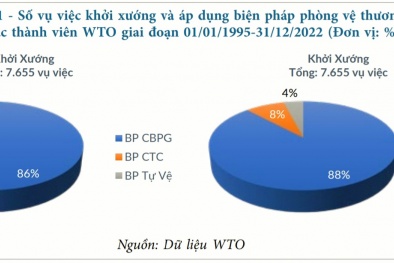 Việt Nam xử lý thành công nhiều vụ điều tra phòng vệ thương mại nước ngoài 