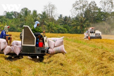 Doanh nghiệp xuất khẩu gạo cẩn trọng khi kí kết hợp đồng để đảm bảo phòng ngừa rủi ro
