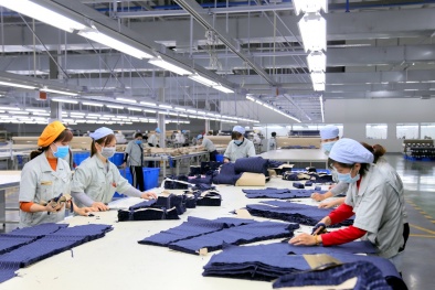 5 bước triển khai xây dựng Hệ thống quản lý môi trường theo tiêu chuẩn ISO 14001 
