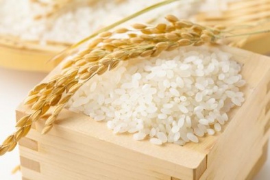 Ấn Độ cấm xuất khẩu tất cả các loại gạo tẻ thường (Phi Basmati)