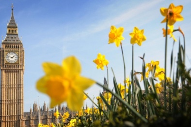 Vương quốc Anh sẽ công nhận Việt Nam là nền kinh tế thị trường trong các vụ việc điều tra phòng vệ thương mại